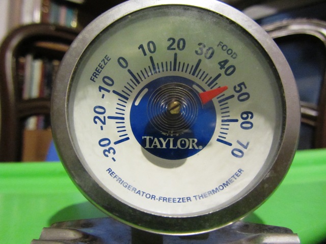 refrigerator thermometer