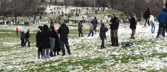 snow in park