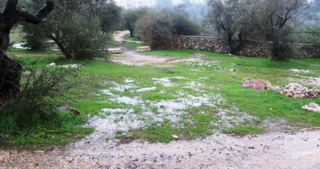 rain in Jerusalem, mud puddles