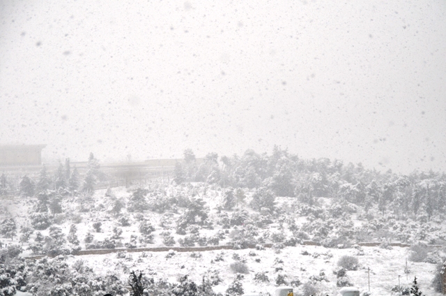 Snow in Jerusalem photo
