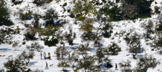 Jerusalem snow photos